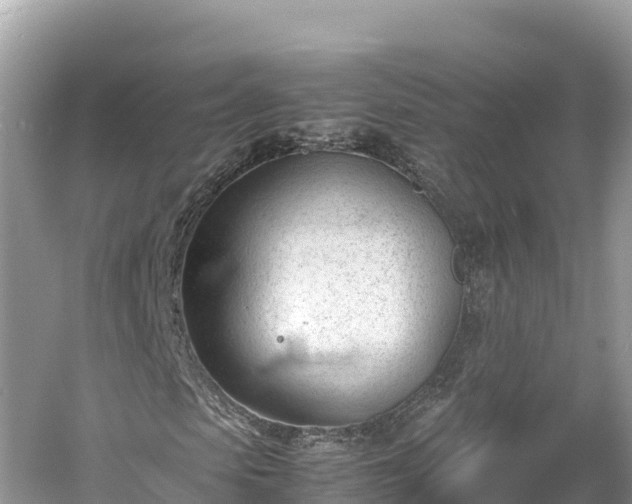 X0000061120913200511210956