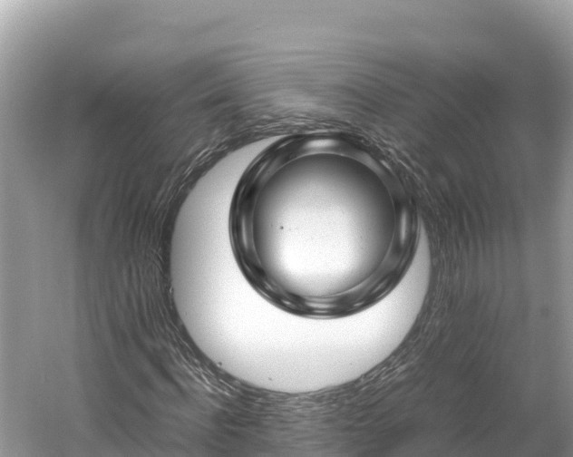 X0000061120916200511210956