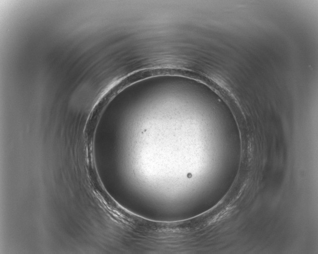 X0000061120925200511210956