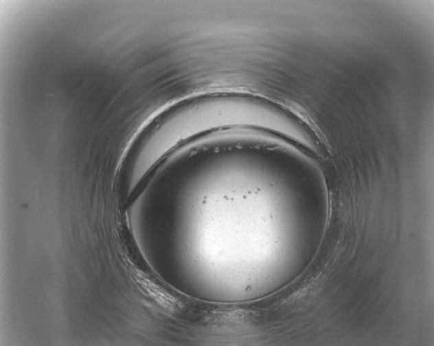 X0000061120926200511210957