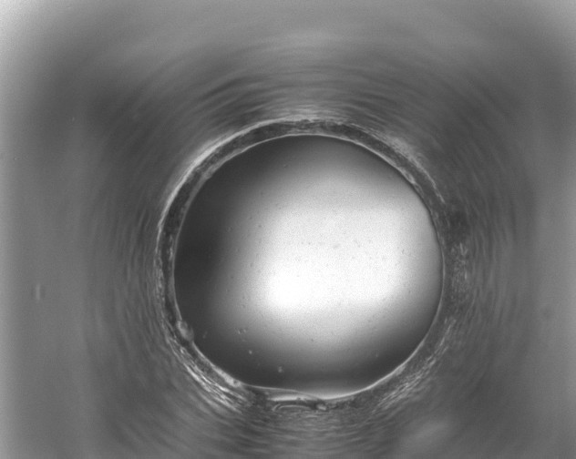 X0000061120927200511210957