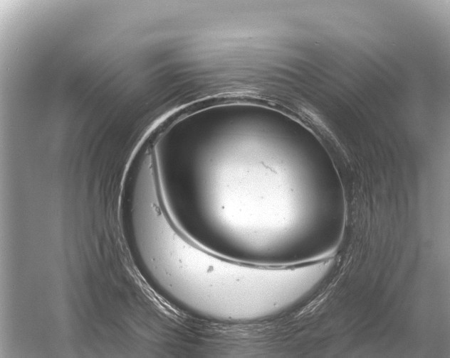 X0000061120932200511210957