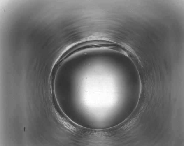 X0000061120934200511210957