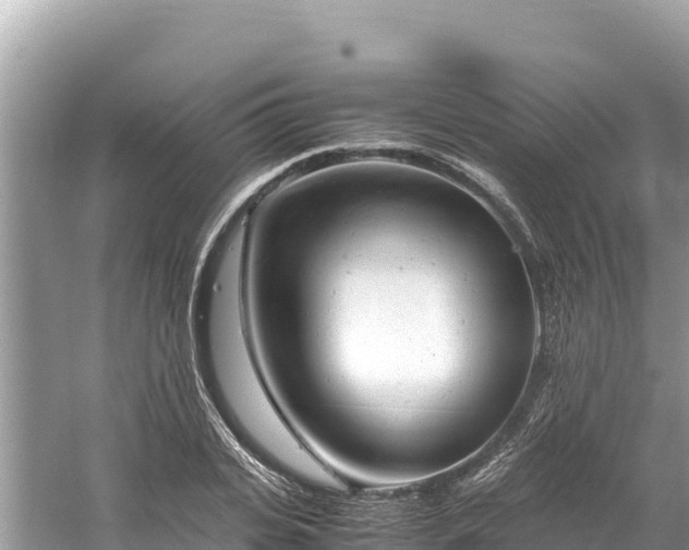 X0000061120935200511210957