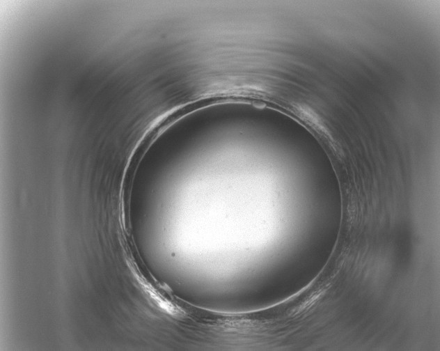 X0000061120940200511210957