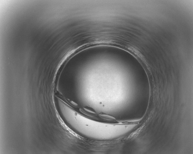 X0000061120941200511210957