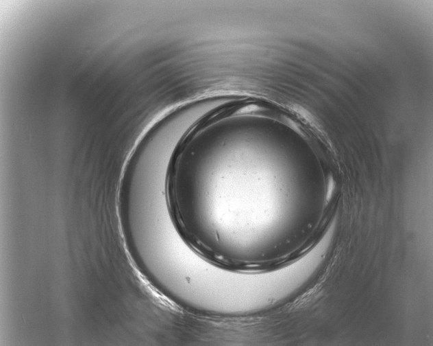 X0000061120942200511210957