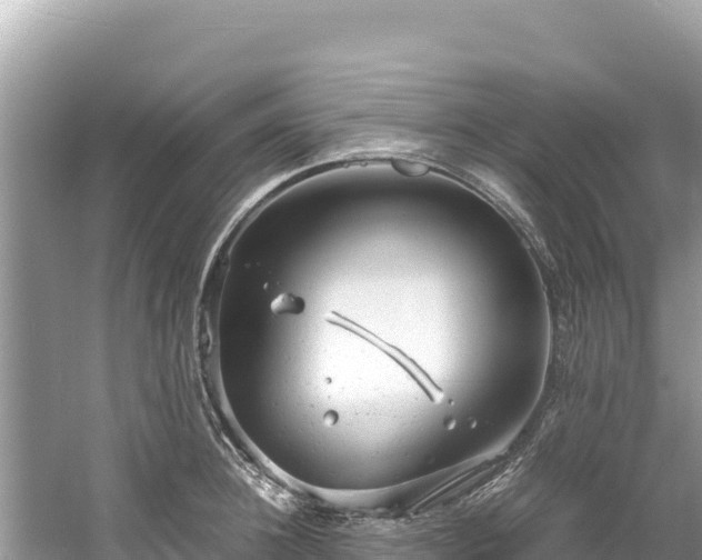 X0000061120948200511210957