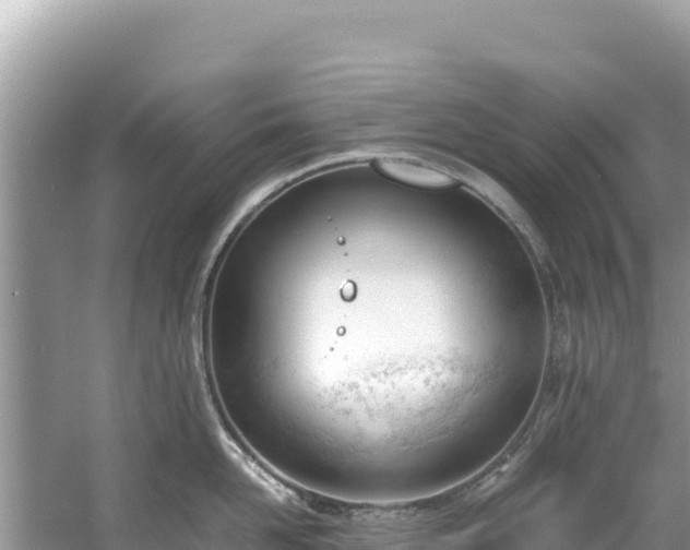 X0000061120958200511210957