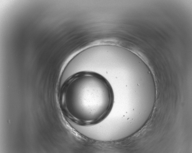 X0000061120960200511210957