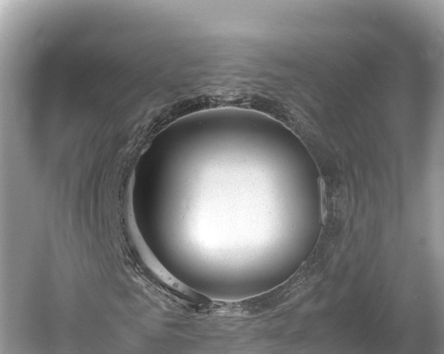 X0000061120961200511210956