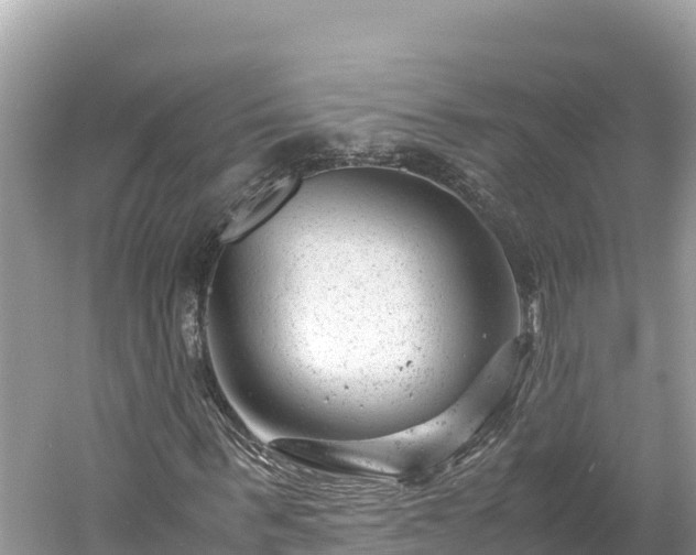 X0000061120963200511210956