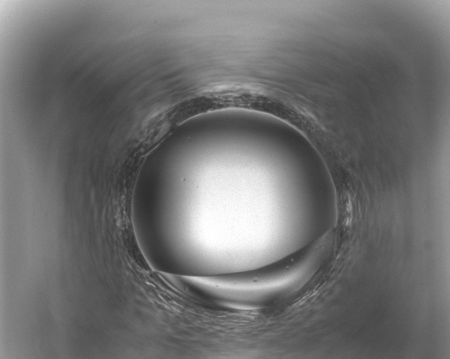 X0000061120965200511210956