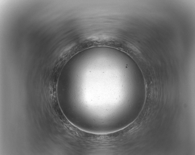 X0000061120966200511210956