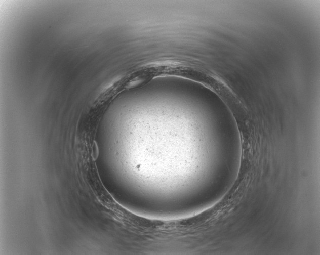 X0000061120967200511210956