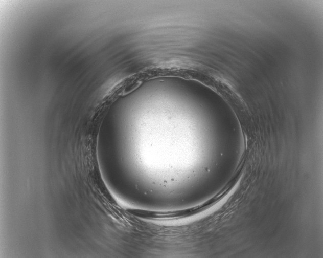 X0000061120968200511210956