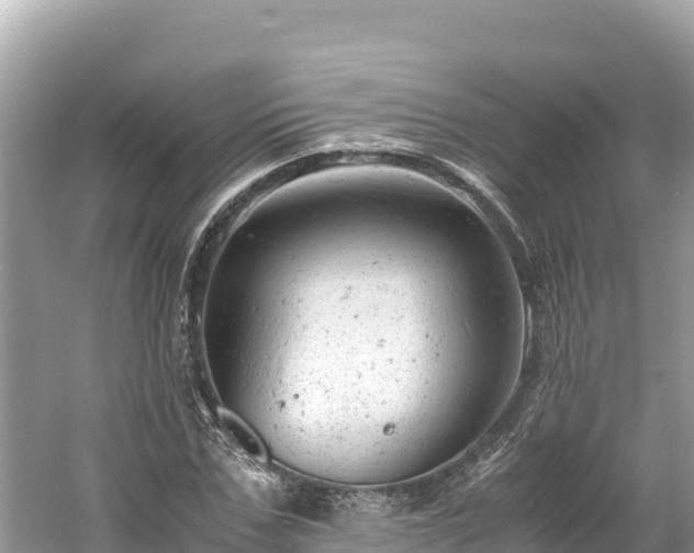 X0000061120971200511210956