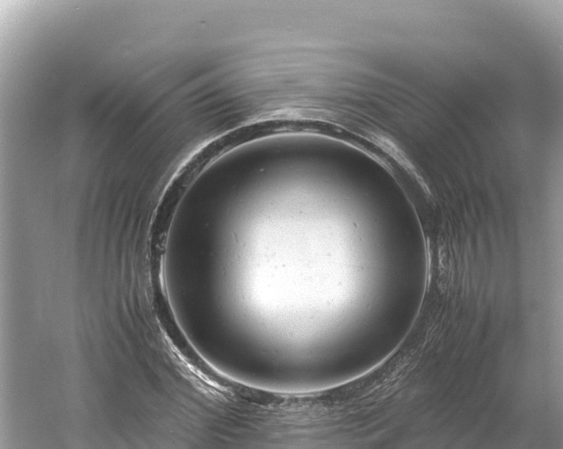 X0000061120972200511210956