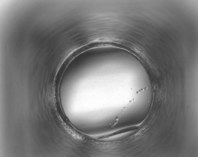 X0000061120976200511210956