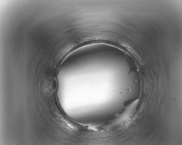 X0000061120977200511210956