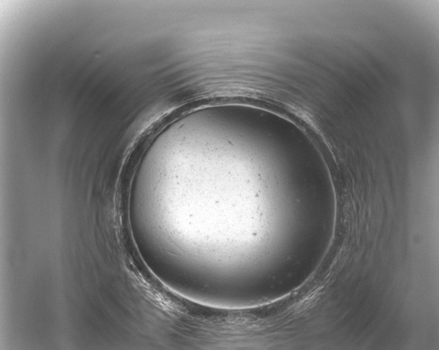 X0000061120979200511210956