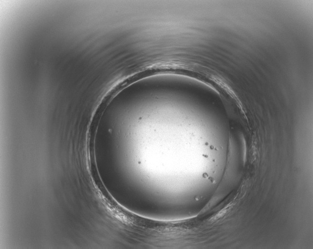 X0000061120984200511210956