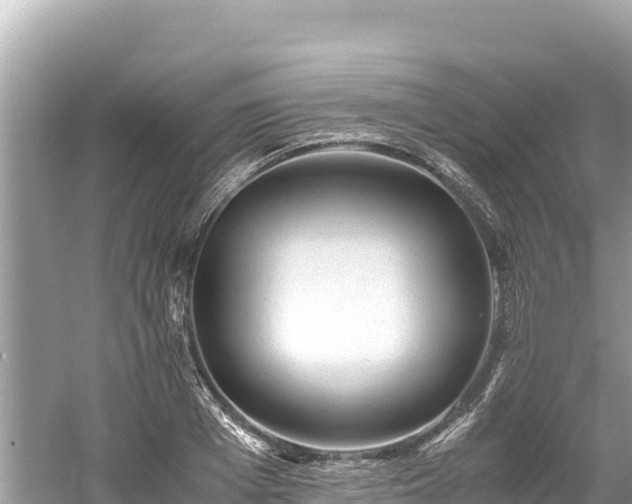 X0000061120985200511210956