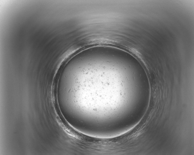 X0000061120987200511210956