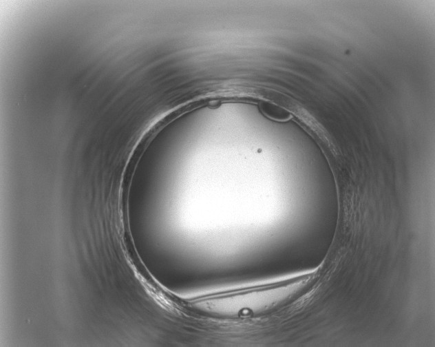 X0000061120988200511210956