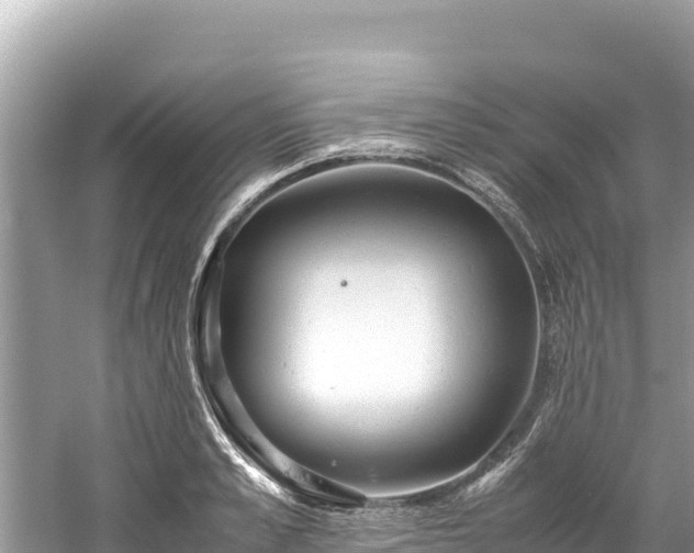 X0000061120989200511210956