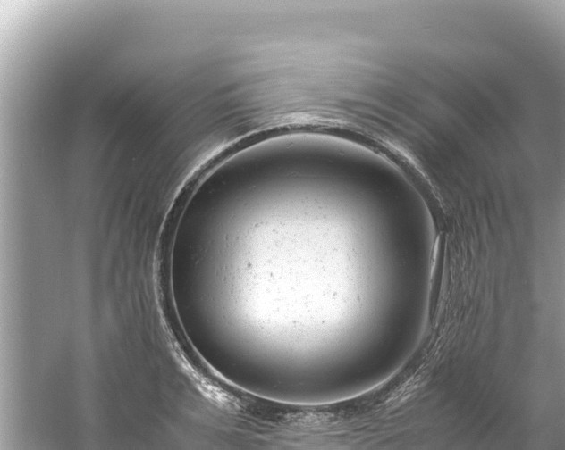 X0000061120991200511210956