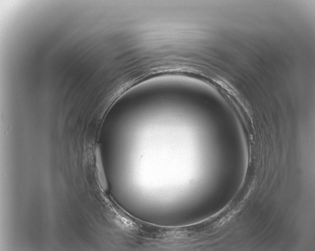 X0000061120993200511210956