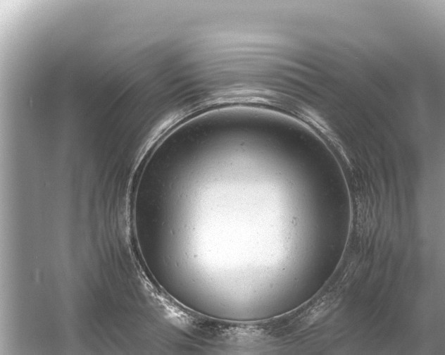 X0000061120994200511210956