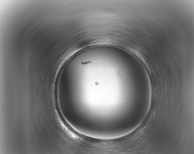 X0000061120995200511210956