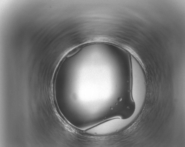 X0000061120996200511210956