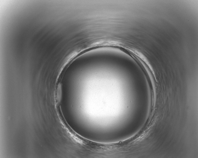 X0000061120997200511210956