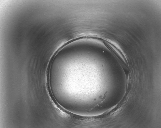 X0000061120999200511210956