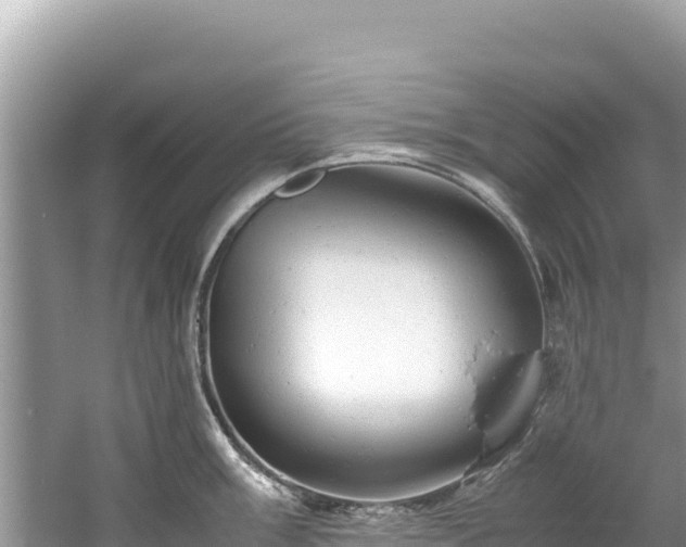 X0000061121003200511210956