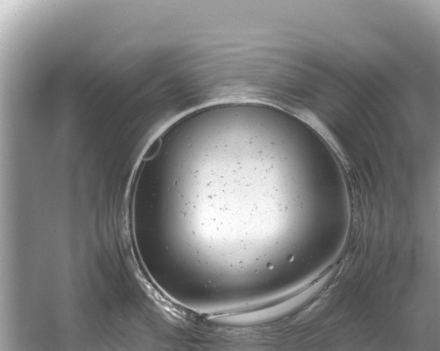 X0000061121004200511210956