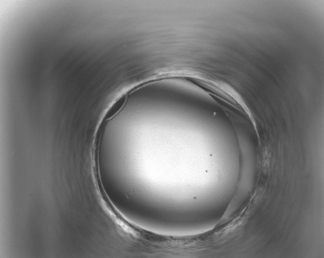 X0000061121005200511210956