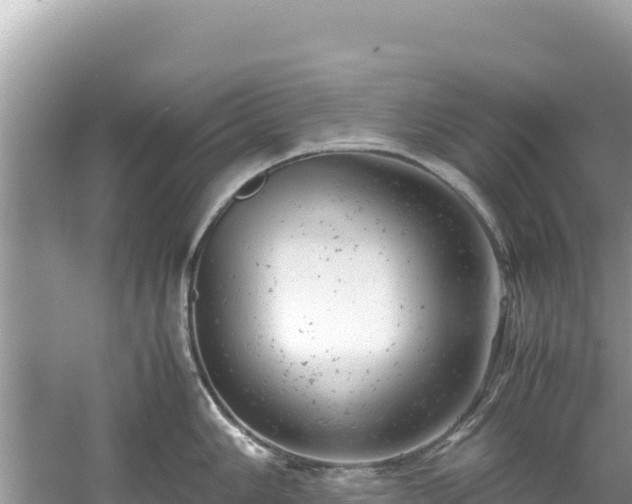 X0000061121006200511210955