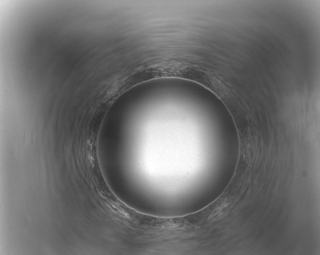 X0000061121010200511210955