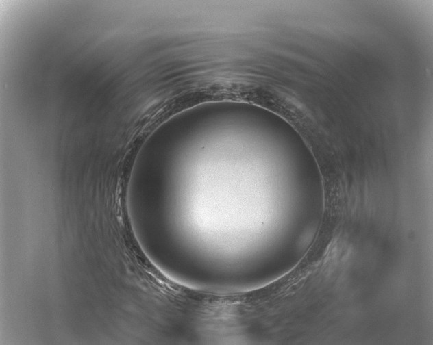 X0000061121013200511210955