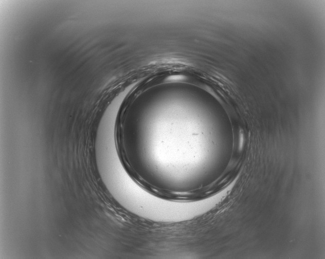 X0000061121014200511210955