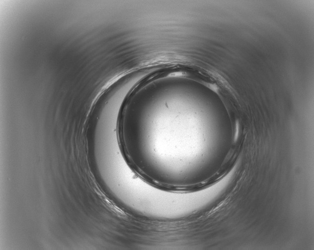 X0000061121018200511210955