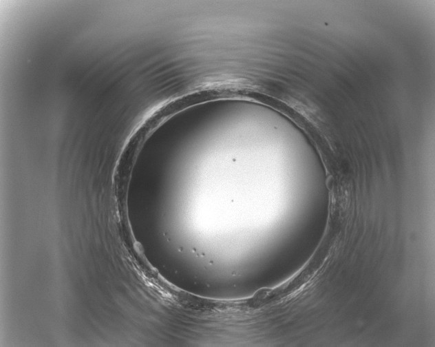 X0000061121022200511210955