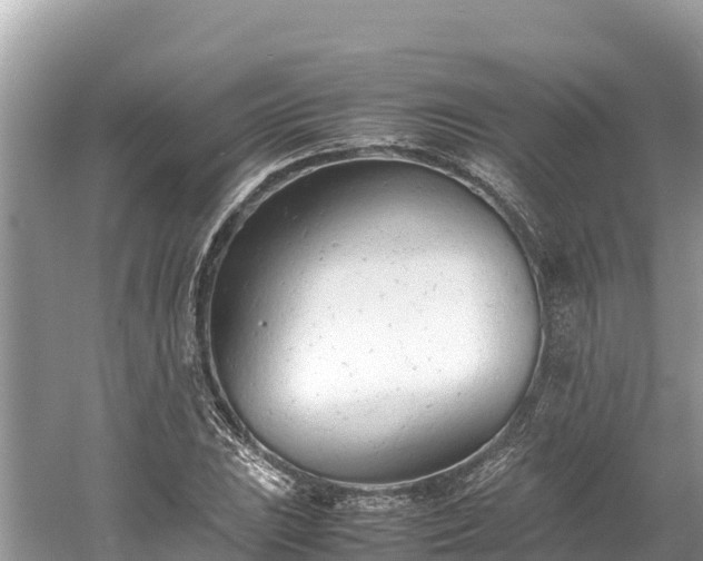 X0000061121023200511210955