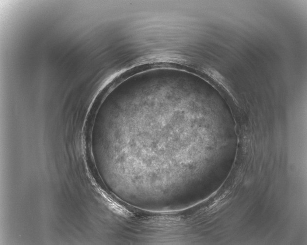 X0000061121024200511210955