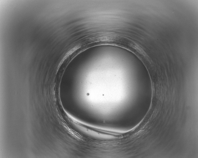 X0000061121026200511210955