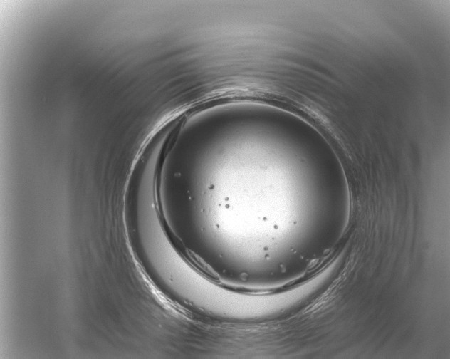 X0000061121034200511210955